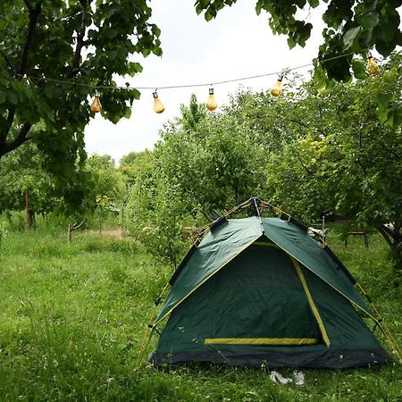 Noosh Guesthouse Ashnak Kültér fotó