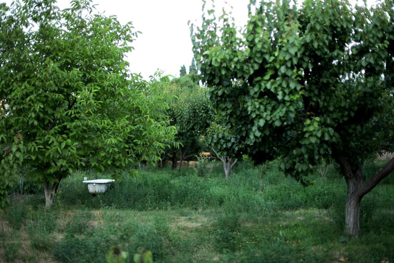 Noosh Guesthouse Ashnak Kültér fotó